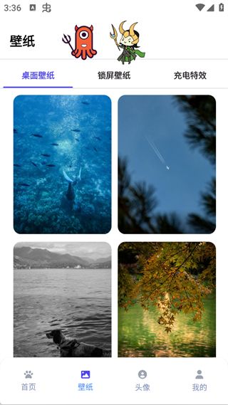 桌宠使用方法配图5