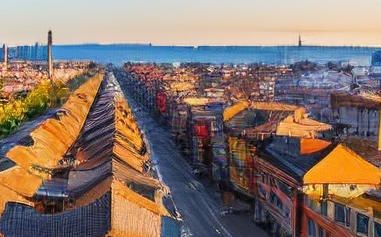 宠 物养成日记破解版