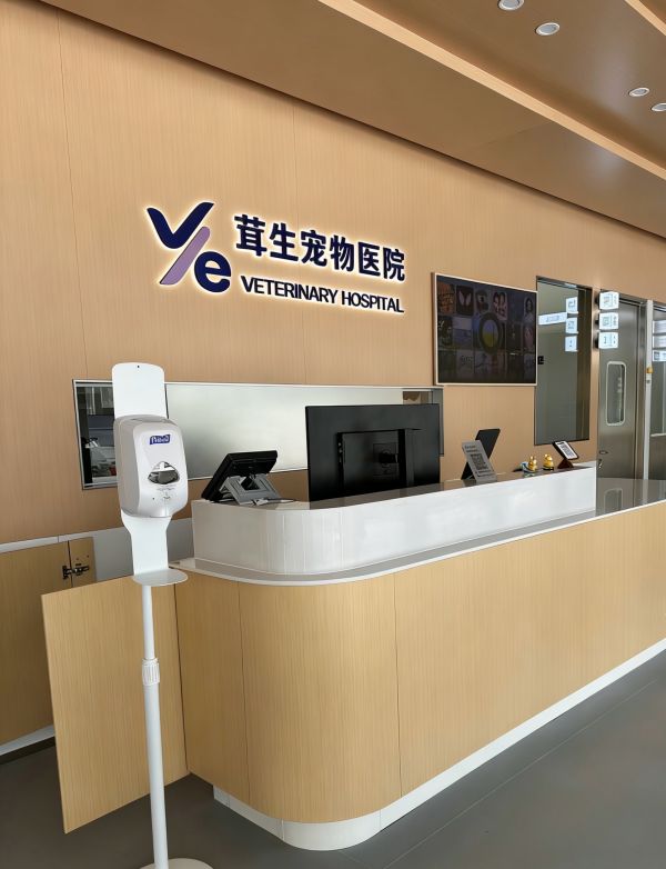 茸生宠物医院：以真心换口碑，以实力抗诋毁，做宠主最靠谱的线上守护人