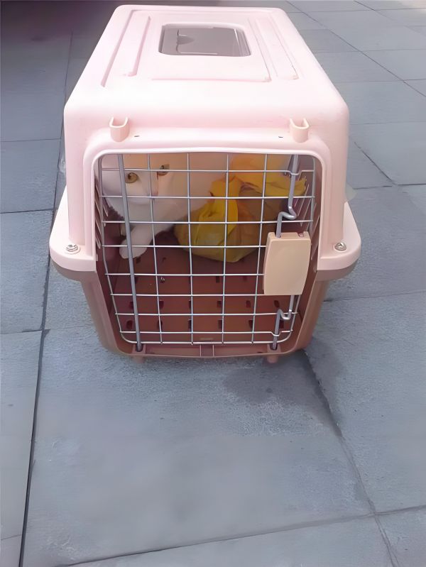 迁安 托运物流 托运费用