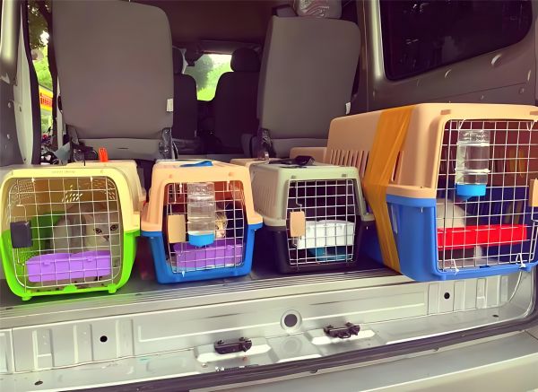 安阳内黄托运托运运输