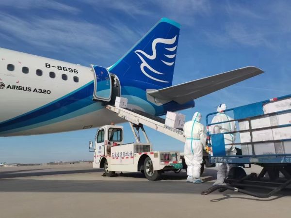 安阳猫狗空运公司 喂食喂水当天发当天到