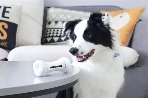 芭菲宠家宠物用品玩具