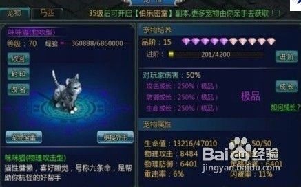 三国小镇宠物怎么升级