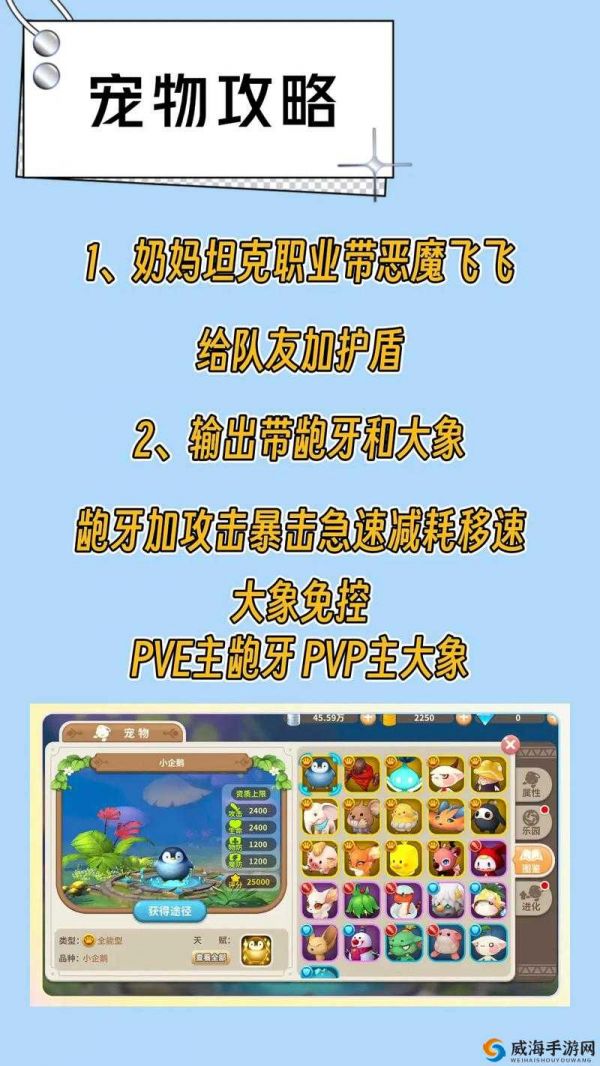 光明勇士宠物攻略，解锁宠物训练秘籍，打造你的战斗伙伴！