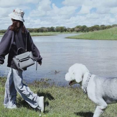 不露脸氛围感头像女带宠物