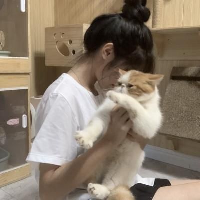不露脸氛围感头像女带宠物