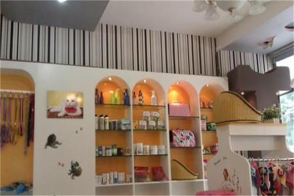 汤姆猫宠物店