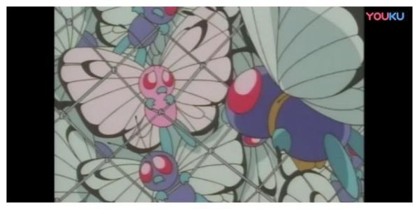 宠物小精灵：巴大蝴为爱奋不顾身，终于赢得真爱