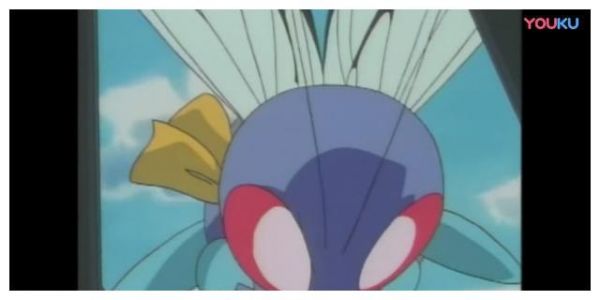 宠物小精灵：巴大蝴为爱奋不顾身，终于赢得真爱