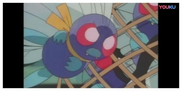 宠物小精灵：巴大蝴为爱奋不顾身，终于赢得真爱