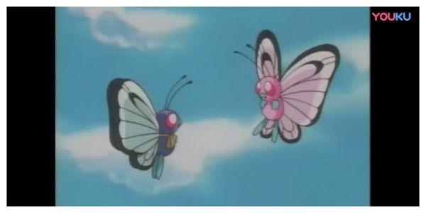 宠物小精灵：巴大蝴为爱奋不顾身，终于赢得真爱