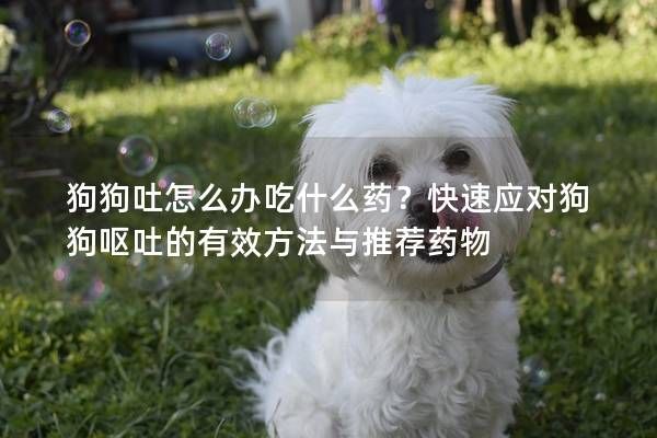 狗狗吐怎么办吃什么药？快速应对狗狗呕吐的有效方法与推荐药物