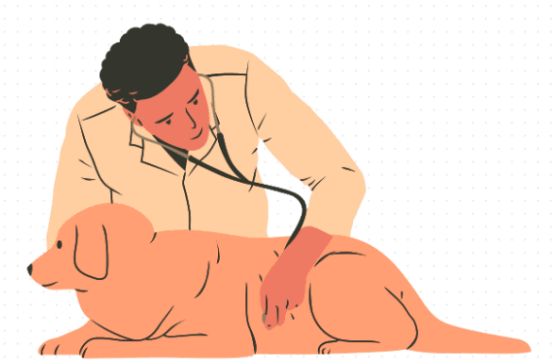 狗狗肠胃炎吃什么药？