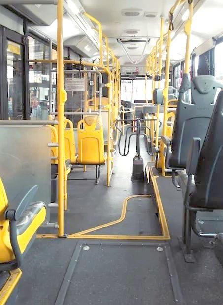 北京都市宠物出行全攻略：公交车、动车与长途汽车政策详解-有驾