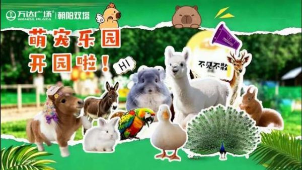 朝阳万达五一萌宠嘉年华启动，羊驼孔雀等13种动物亮相