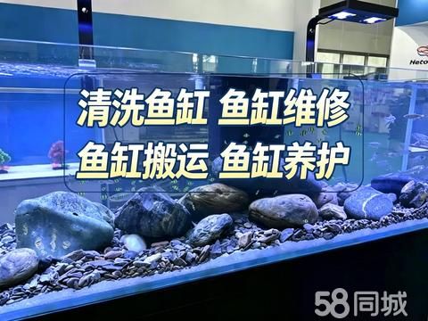 长春尚语水族服务·长春专业清洗鱼缸清洗鱼缸定制鱼缸维修鱼缸养护鱼缸造景，鱼缸搬运鱼缸，海水缸清洗养护维修淡水缸清洗维修养护，观赏鱼出售养鱼器材出售鱼粮出售