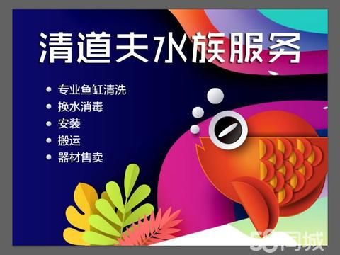 鱼缸清洗消毒换水维修定制·鱼缸维修，清洗消毒换水安装定制维护器材，全长春上门安装鱼缸