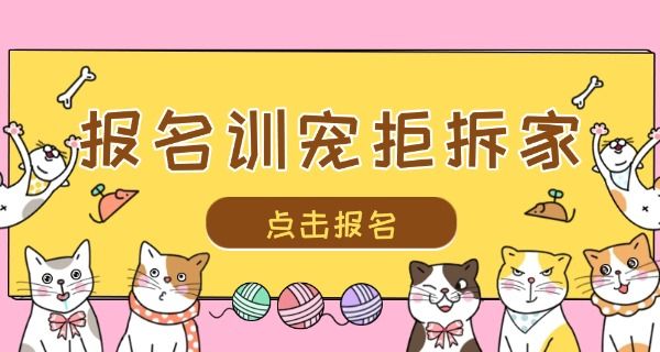 朝 阳哪里有宠物训练中心