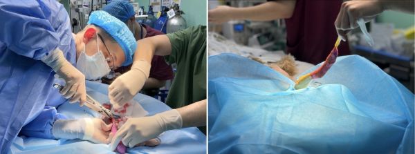 新瑞鹏上海瑞鹏宠物医院黄兴总院：专科精准诊疗，守护爱宠生命线