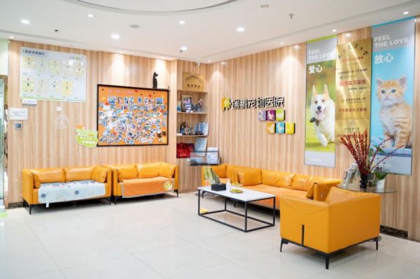 新瑞鹏上海瑞鹏宠物医院黄兴总院：专科精准诊疗，守护爱宠生命线