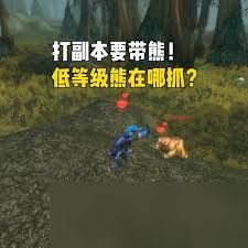 魔兽世界wlk哪里能抓到猛禽