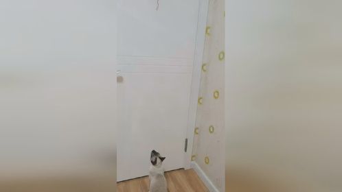 打不开门就撒娇