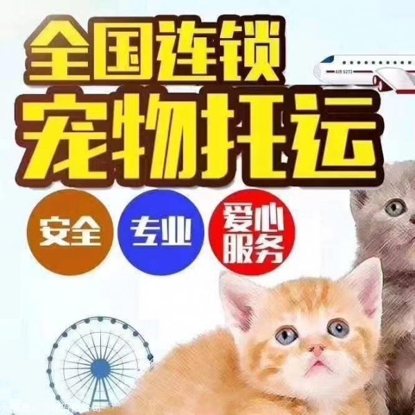 河北唐山迁西宠物托运宠物托运费用直达各个城市