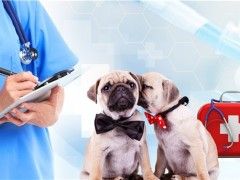 湘江世纪城亲宝宠物诊疗中心 湘江世纪城亲宝宠物医院