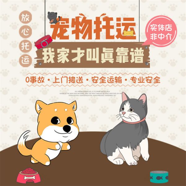 宠物猫运输专车: 万盛宠物托运航空运输有氧舱