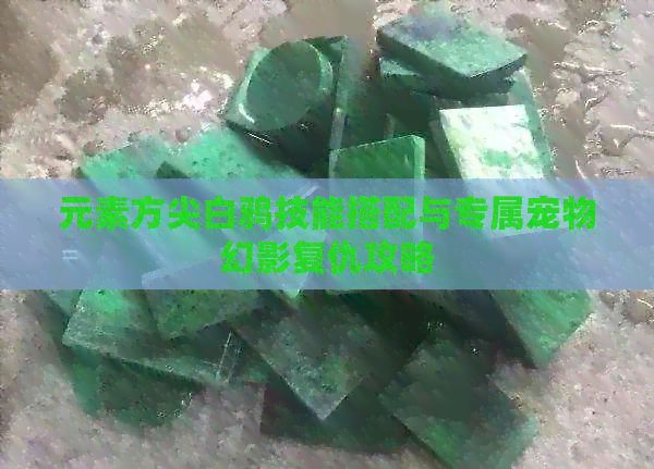 元素方尖白鸦技能搭配与专属宠物幻影复仇攻略