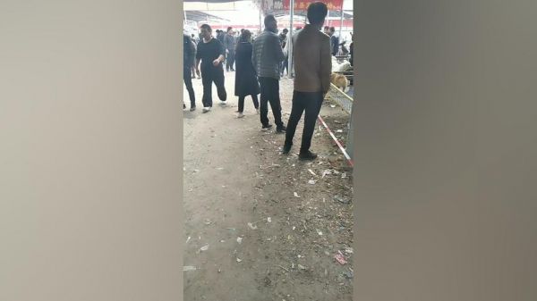 亮哥带你溜达狗市