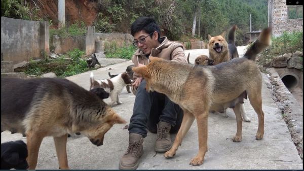 金洋兄弟：今天比较有空，抓两条小狗，看看听不听话
