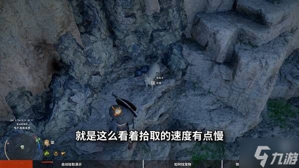 《红色沙漠》宠物获取方法 红色沙漠怎么获得宠物