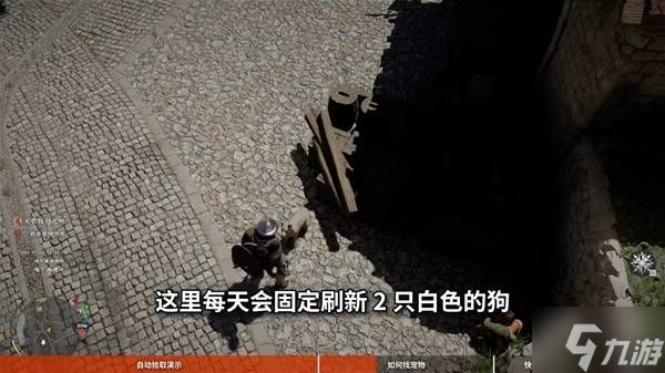 《红色沙漠》宠物获取方法 红色沙漠怎么获得宠物