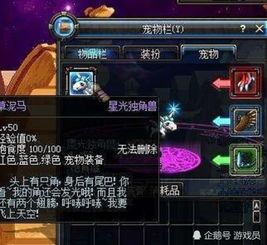 dnf稀有宠物/dnf宠物大全2020