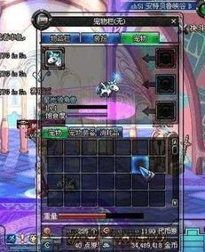 dnf稀有宠物/dnf宠物大全2020