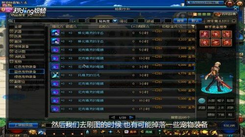 dnf宠物大全/dnf宠物一览