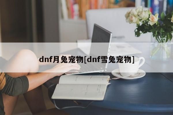 dnf月兔宠物[dnf雪兔宠物]