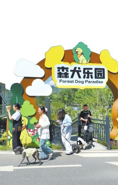 邛崃市桑园镇建起8公里长的“毛孩子”觅友徒步线。图为宠物家庭从森犬乐园出发开启徒步。