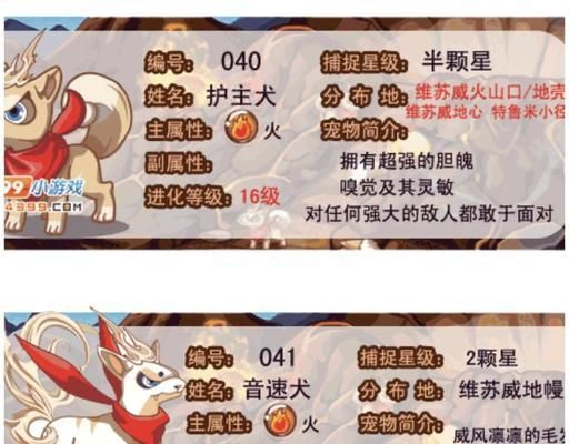 天天风之旅宠物升星攻略（玩转宠物升星）