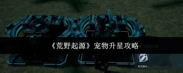 《荒野起源》宠物升星攻略