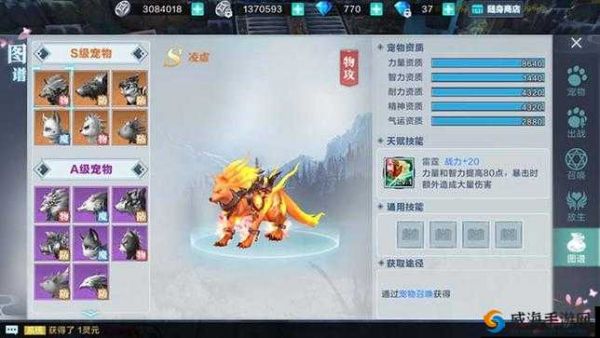 雪鹰领主手游宠物培养攻略，怎么升星