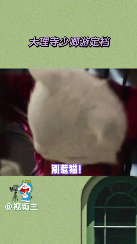 大理寺少卿游定档 猫猫怪勇闯大理寺真的又热血又萌……