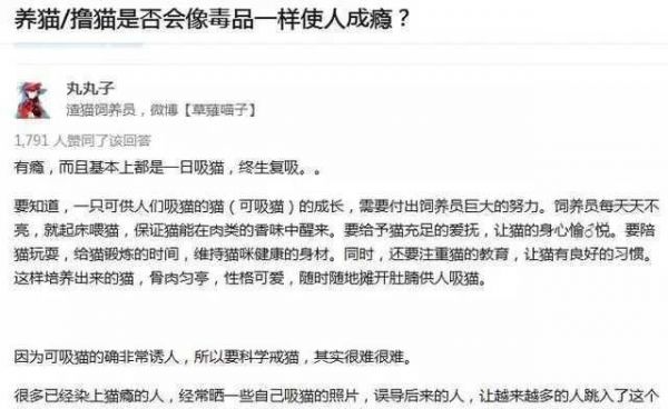 何以解忧？唯有吸猫！《我在大理寺当宠物》怕是要萌坏猫奴！