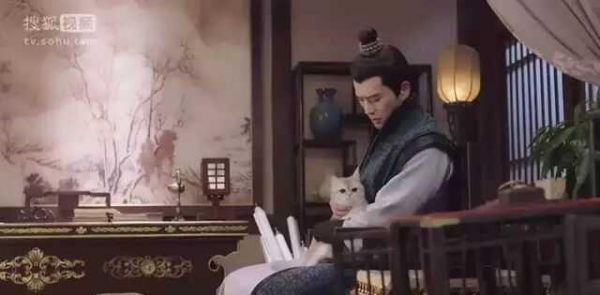 何以解忧？唯有吸猫！《我在大理寺当宠物》怕是要萌坏猫奴！