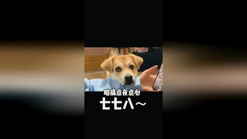 女朋友的吃的你都敢抢女朋友狗子单身狗