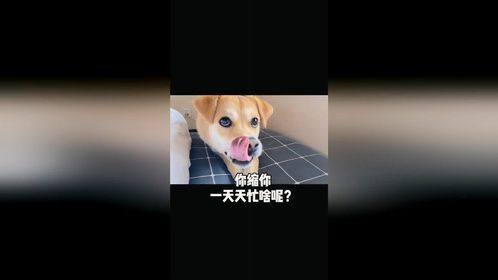 你忽略的那些细节真的毁了我好多温柔