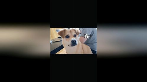 一天不挨揍我心里就难受