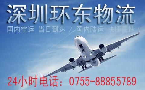 宠物猫航空托运 当天到达 深圳宠物机场托运航空运输公司
